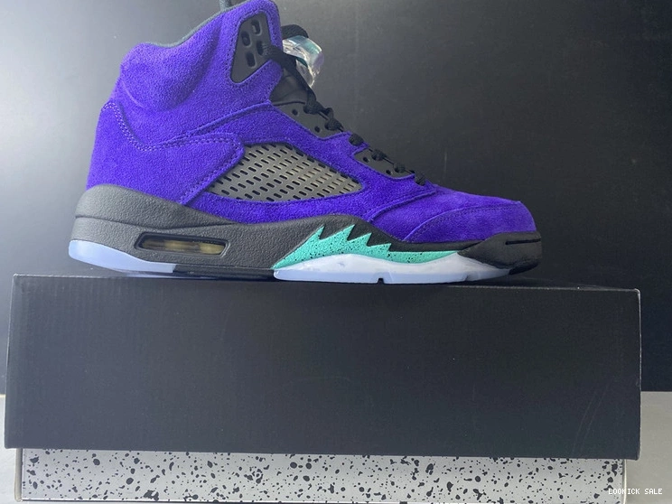 Rep Jordan Air  136027-500 “Alternate Grape” 5 0514